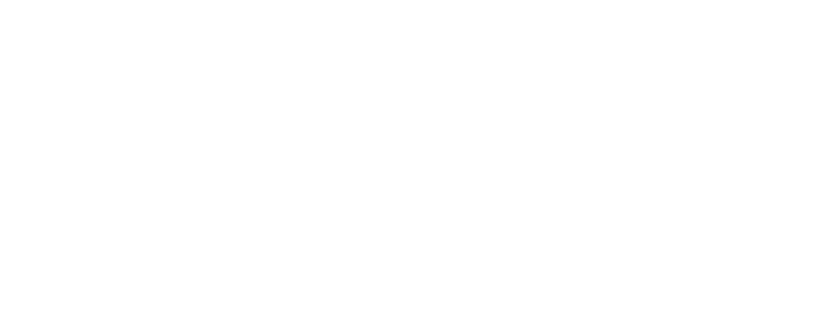 VizaMetre